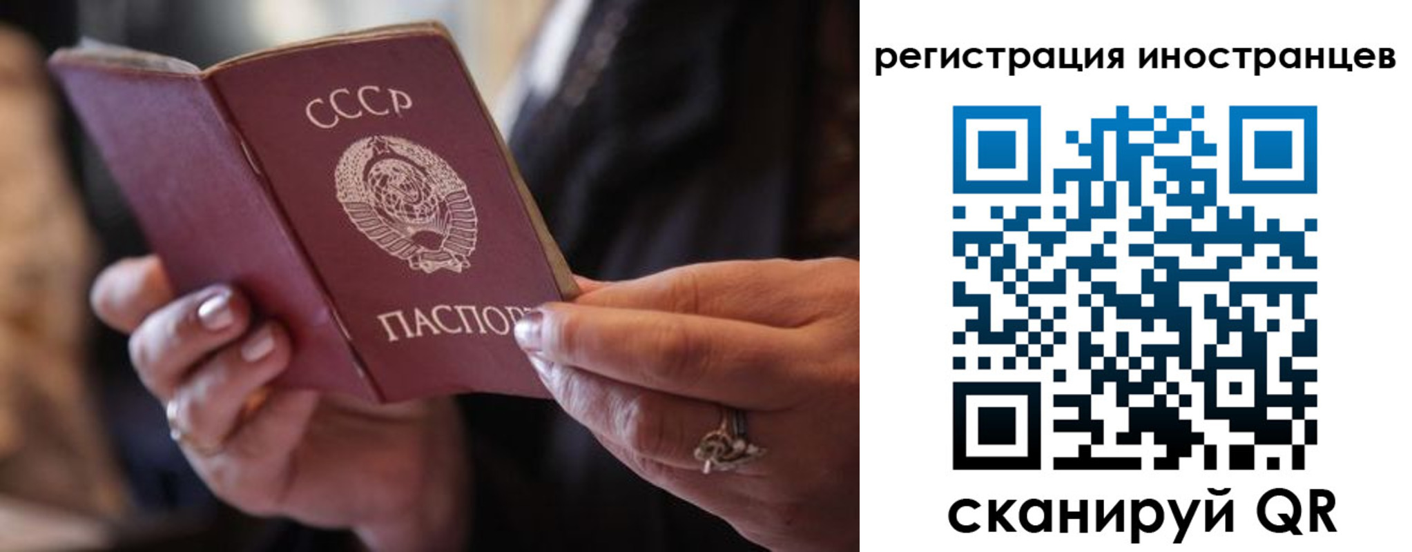 где прописаться в Наволоках